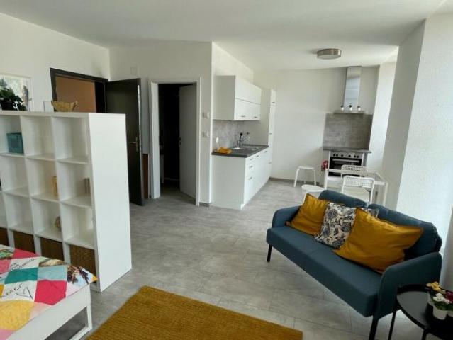 Appartements Les Alpes Studio meublé avec balcon