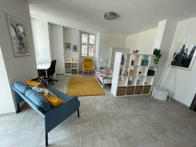 Appartements Les Alpes Studio meublé avec balcon