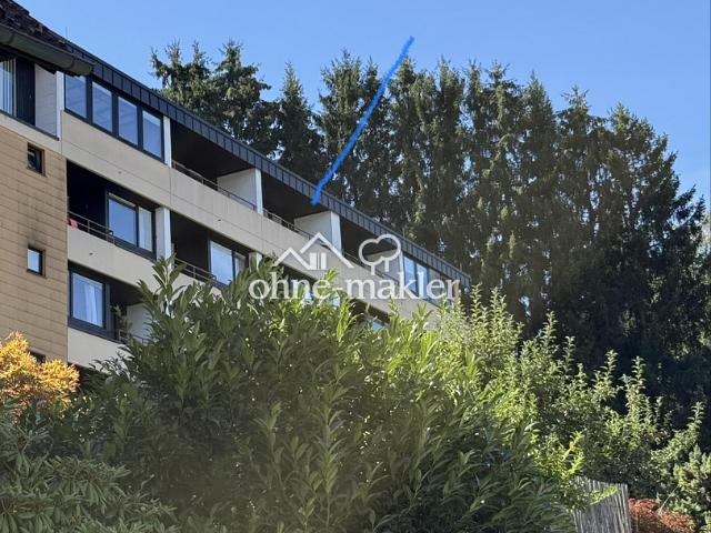 Appartment mit traumhafter Aussicht im Sternedorf Baiersbronn