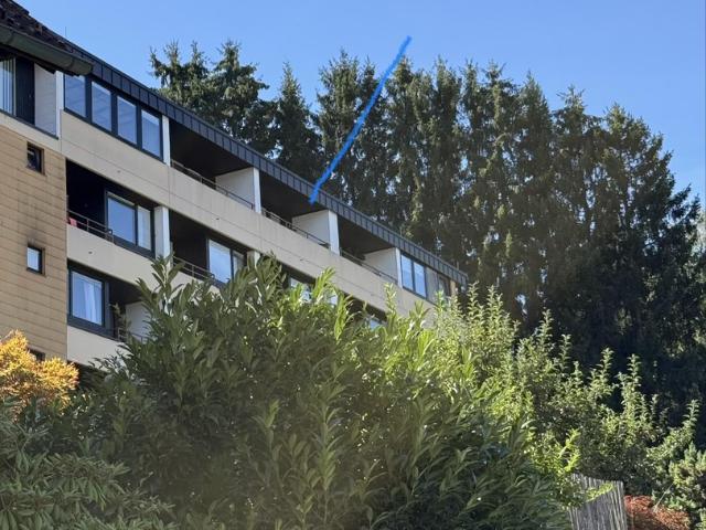 Appartment mit traumhafter Aussicht im Sternedorf Baiersbronn