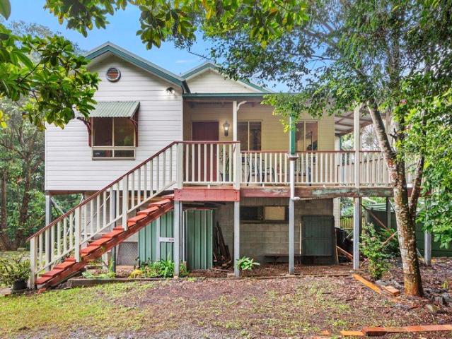 Appealing character colonial in need of love