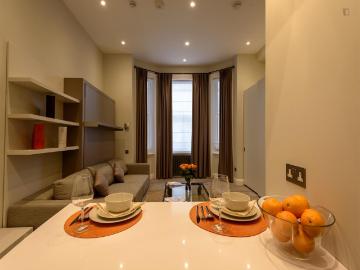 Appealing studio near the West Hampstead tube Has an Apartment