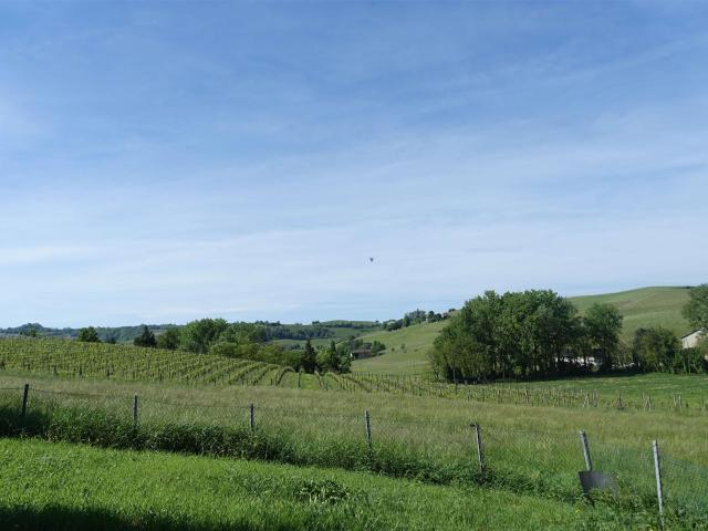 Appena fuori Nizza Monferrato, una spaziosa villa dal fascin. 400m² Nizza Monferrato