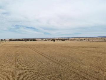 Appila, Mount Remarkable, South Australia, South Australia