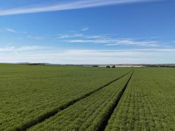 Appila, Mount Remarkable, South Australia, South Australia