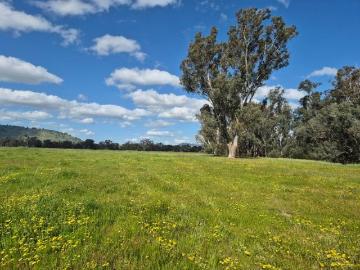 Approved Planning Permit Rare Find Prime 42.9 Acres 4.5 km's to Euroa Creek Frontage