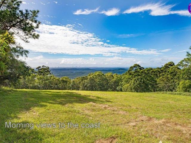Approved. Ready. Rare. One of Tamborine Mountain's Last View Acreages