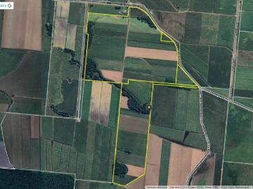APPROX. 200 ACRE CANE FARM FOR SALE