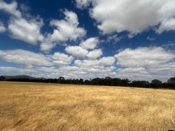 Approx. 6.1 hectares 15 acres | Farming Zone | Goldfields lifestyle holding