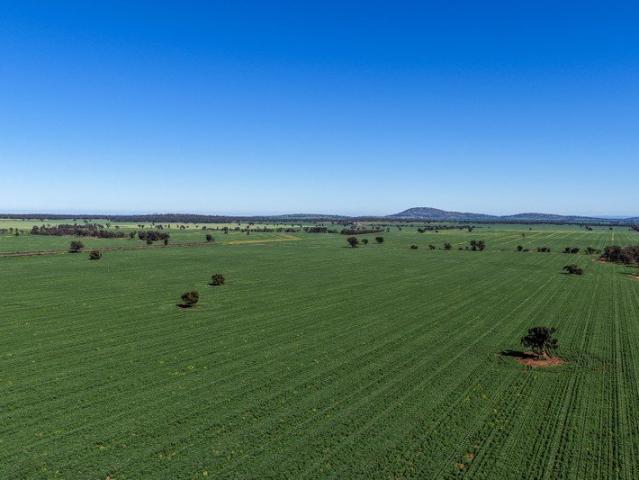 Approx. 832 hectares 2,056 acres of gently undulating mixed farming country in one of Australia's most renowned agricultural regions