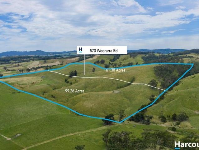 Approximately 160 Acres in Two Titles!