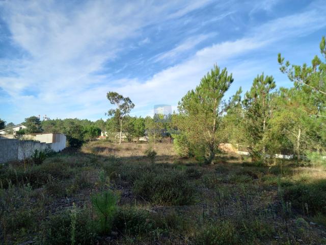 Apresentamos um terreno com 4593 m2 urbanizável. Nele poderão ser construídas moradias ou poderá ser utilizado para outros fins empresariais e/ou turisticos. Praias a 15 Km. de distância