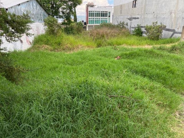 Aprovecha renta terreno con alta plusvalia