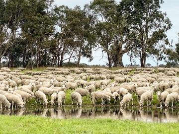 Land to rent in Victoria