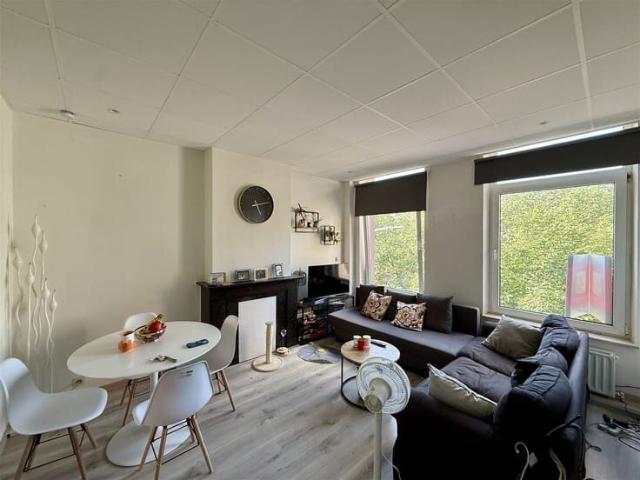 Apt. 1CH. near city center