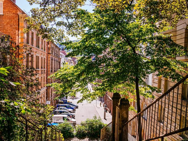 Apt in historic building in West 10 minutes to Patch