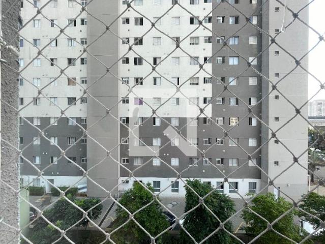 Apto, Bom Retiro, 1 Quarto, 33 m2 São Paulo
