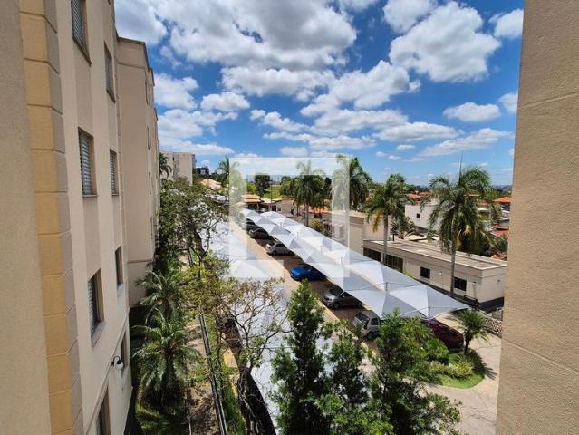 Apto, Campos Elíseos, 2 Quartos, 44 m2 Campinas