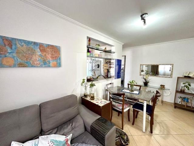 Apto, Jardim Maia, 2 Quartos, 44 m2 Guarulhos