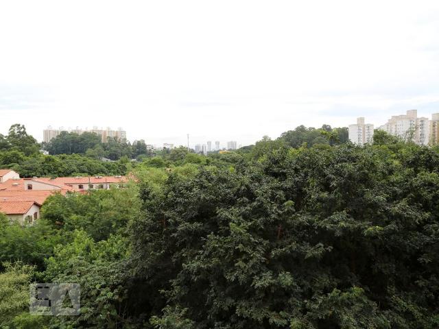Apto, Jardim Nadir, 3 Quartos, 60 m2 São Paulo