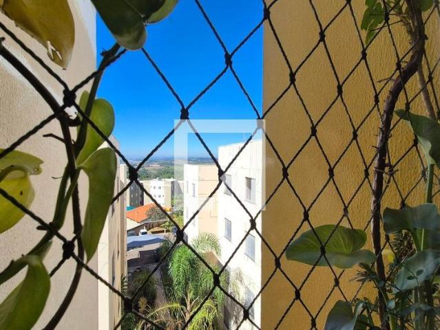 Apto, Jardim San Diego, 2 Quartos, 48 m2 Campinas