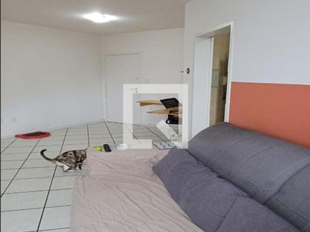 Apto, Kobrasol, 1 Quarto, 57 m2 São José