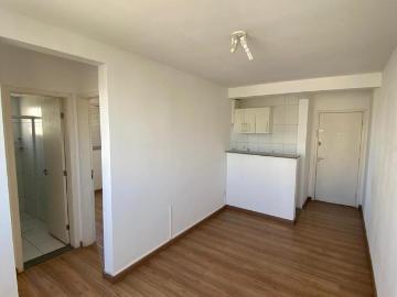 Apto, Parque das Águas, 2 Quartos, 41 m2 Campinas