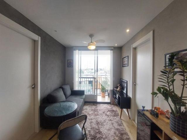 Apto, Socorro, 1 Quarto, 38 m2 São Paulo