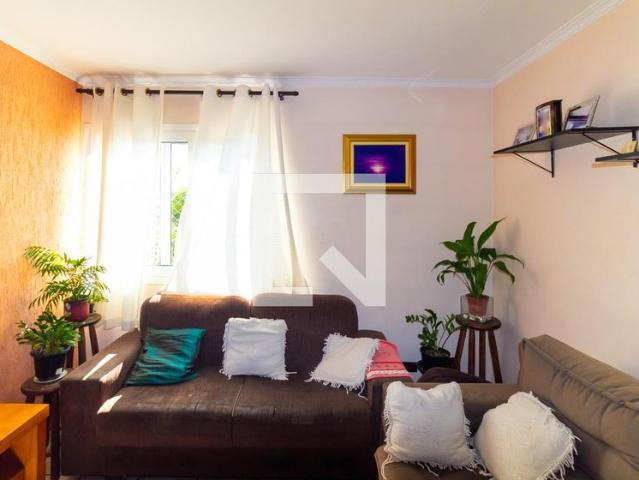 Apto, Vila Califórnia, 3 Quartos, 72 m2 São Paulo