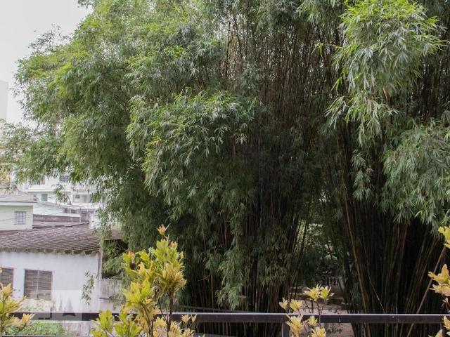 Apto, Vila das Mercês, 2 Quartos, 50 m2 São Paulo