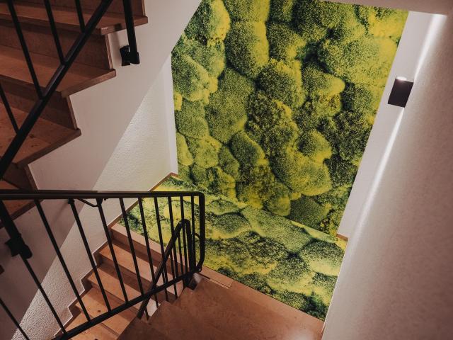 Aquarium Apartment – High Quality Home with Three Themed Living Areas, Heilbronn Amsterdam Apartments for Rent