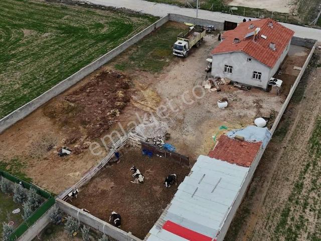 Çarıklarda Çiftlik Yapımına Elverişli 3+1 Müstakil Ev