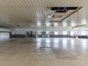Armazém Industrial com Ampla Área de Terreno 2 Lotes Incluídos Regilde
