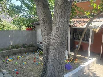 Arnavutköy Taşoluk Mahallesinde Kiralık 1+1 Düz Giriş Daire