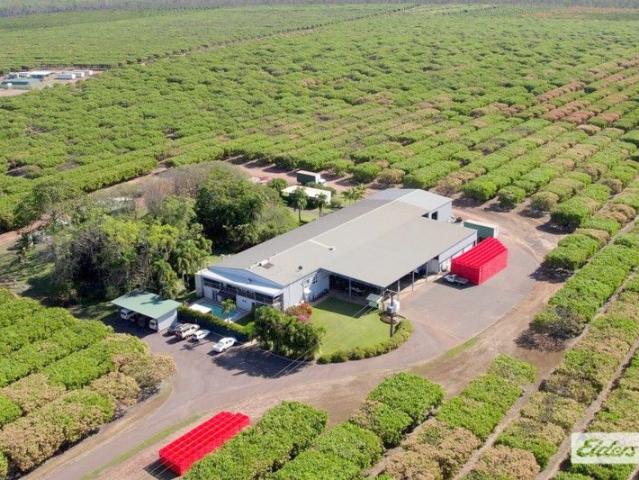 ARNHEM MANGOES PREMIUM HORTICULTURAL OPERATION