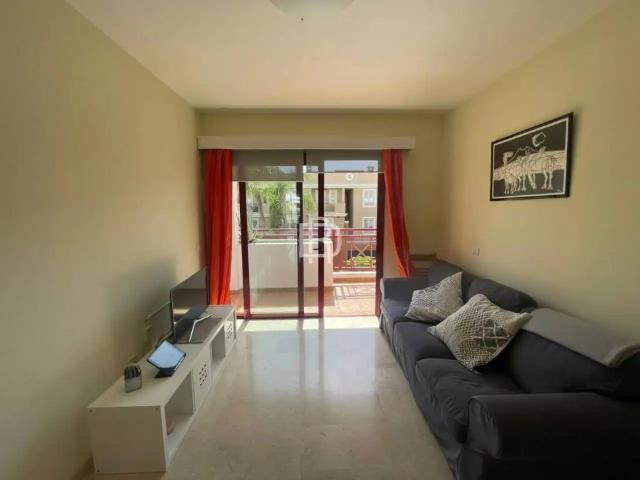 Arona