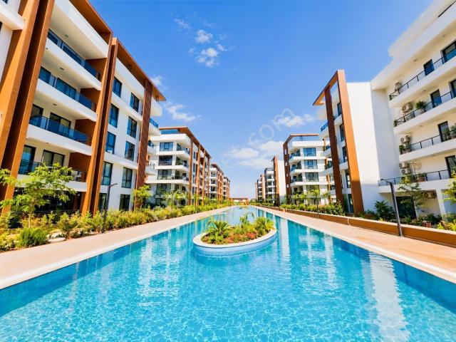 Ara Kat 1+1 / Doğalgazlı / Havuz Manzaralı