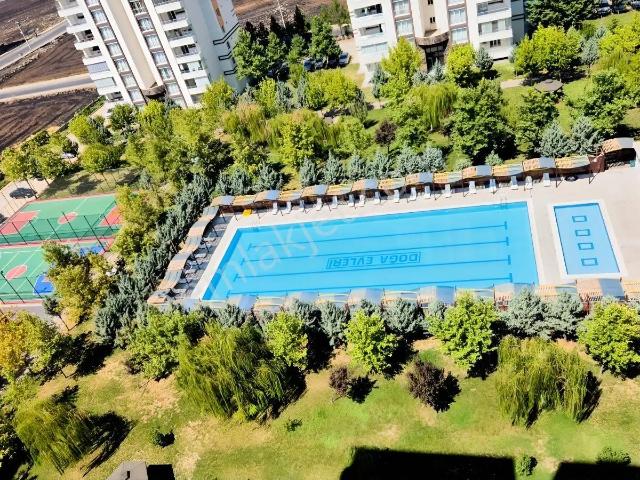 Araştırmaya, Yeni Maliyeye, Cezaevine Ve Winstown Avmye Yürüme