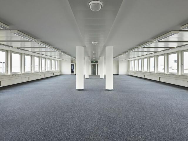 Arbeiten im Zentrum der Dreispitz Entwicklung