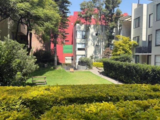 Arbolado y exclusivo departamento a unos pasos de UP