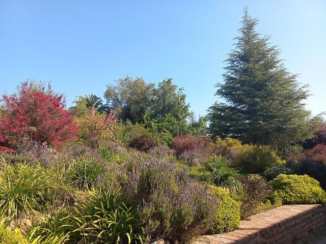 ARBORETUM / PEÑALOLÉN ALTO
