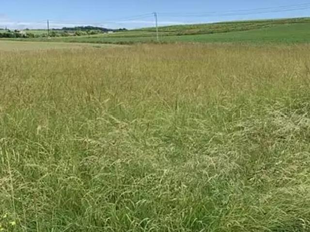 Arc sur Tille 21560 Programme neuf maison neuf à vendre 4 pièces