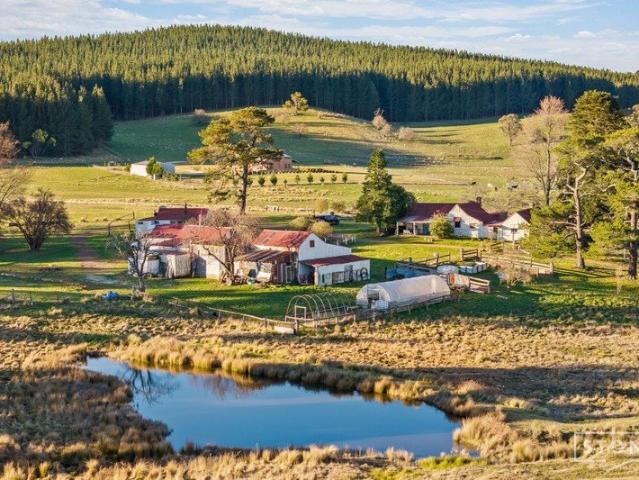 Archers Springs 100 Acres of History, Character and Endless Possibility