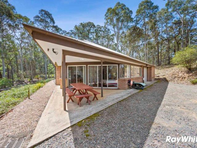 Architectural Private Bushland Retreat