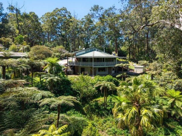 Architectural Rainforest Retreat
