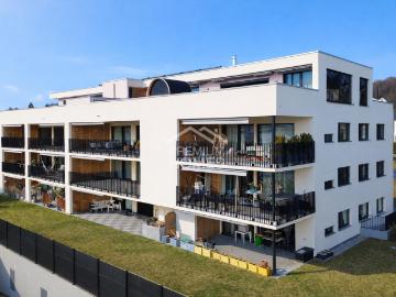 Burg, Bezirk Kulm, Bezirk Kulm, Aargau