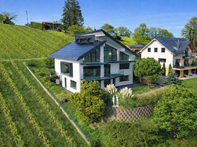Architektenvilla im Herzen der Weinberge