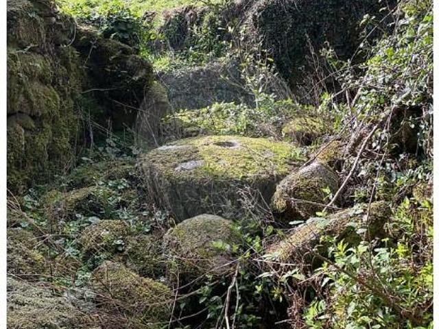 Arcos de Valdevez Arcos de Valdevez 98757686