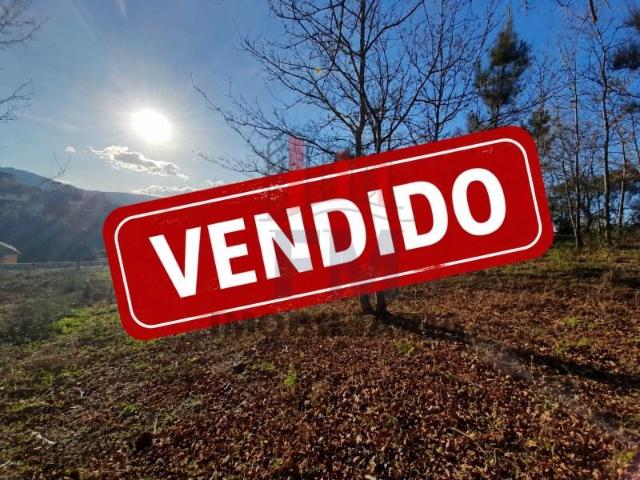 Arcos de Valdevez Arcos de Valdevez 105537843