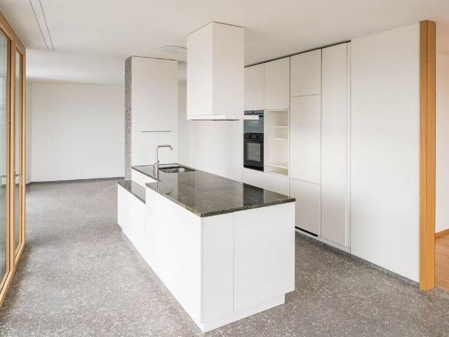Are you looking for a trendy apartment?
